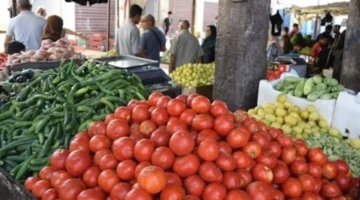 تغيير جديد سعر الخضار اليوم ارتفاع 8 أصناف بينهم الطماطم والليمون